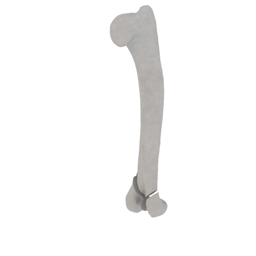 11-a2.282.png