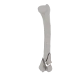 11-a2.283.png