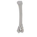11-a2.284.png