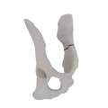 11-a2.774.png