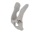 11-a2.779.png