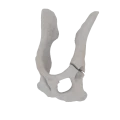 11-a2.780.png