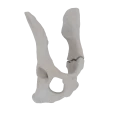 11-a2.781.png