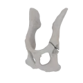 11-a2.786.png