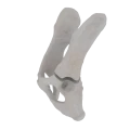 11-a2.787.png