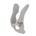 11-a2.794.png