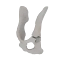 11-a2.795.png