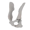 11-a2.796.png