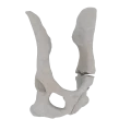 11-a2.798.png