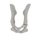 11-a2.803.png