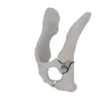 11-a2.819.png