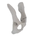 11-a2.821.png