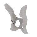 11-a2.822.png