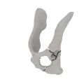 11-a2.824.png