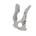 11-a2.827.png