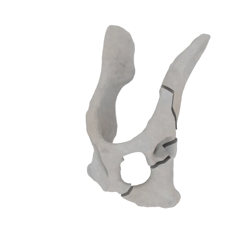 11-a2.827.png