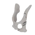 11-a2.828.png