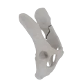 11-a2.830.png