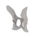 11-a2.831.png
