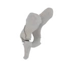 11-a2.832.png