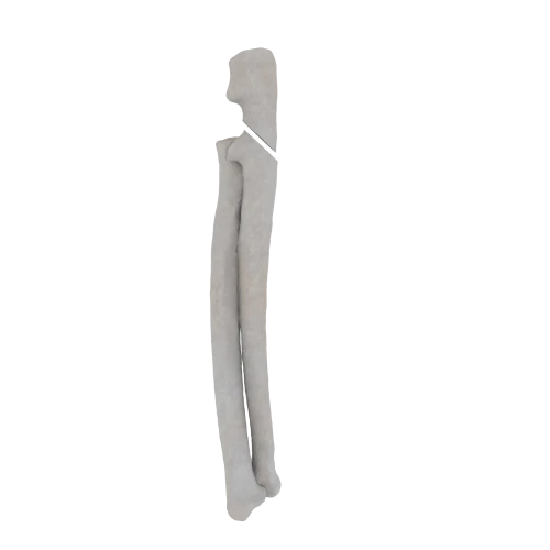 11-a2.351.png