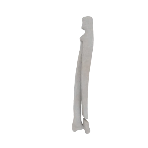 11-a2.390.png