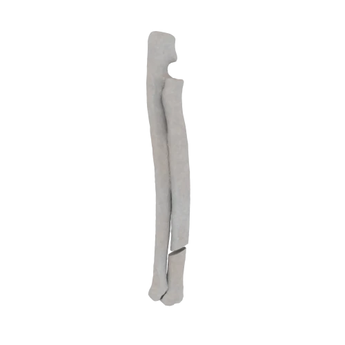 11-a2.365.png