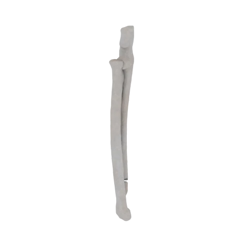 11-a2.367.png