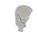 11-a2.851.png