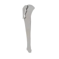 11-a2.570.png