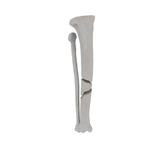 11-a2.601.png