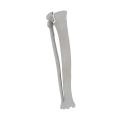 11-a2.576.png