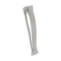 11-a2.577.png