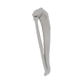 11-a2.578.png