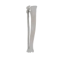 11-a2.581.png