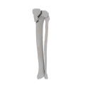 11-a2.585.png