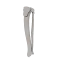 11-a2.586.png