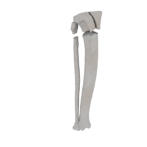 11-a2.596.png