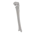 11-a2.598.png