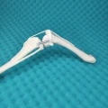 IMG_20240923_105022.jpg