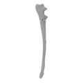 renderowanie kosci.317