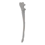 Kość Łokciowa - Pies - Złamanie I typu 21-A1 wg AOVet