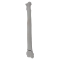renderowanie kosci.277
