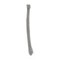 renderowanie kosci.281