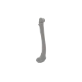 Femur 06 4
