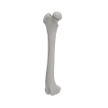 Femur 06 5