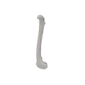 Femur 05 3