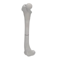 renderowanie kosci.177