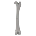 renderowanie kosci.173
