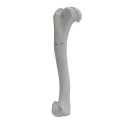 renderowanie kosci.239